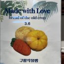 61 | [양주/동두천대형카페] 식물원 카페 하패리61 후기 | 양주베이커리카페 &amp; 양주 브런치 맛집 주차