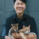 황금산 고양이 이미지