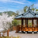 옥마산등산로 이미지