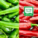 아루이팜