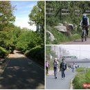 운동의 계절 이미지