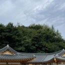 365구름약국 이미지