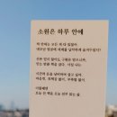 루프리텔캄 이미지