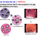 네이버 카페 이벤트 < 트윅스 체인지 > 이미지