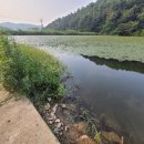 영오축산 이미지