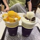 베르체 | 코엑스몰 카페 추천 베르체 젤라또 컵빙수 후기
