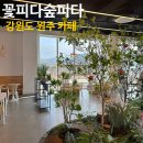 동원주LPG충전소 | [강원도 원주 카페] ‘꽃피다숲피다’ 솔직 후기