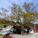 사곡2리 이미지