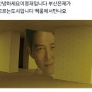햅비