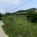 백암축사 이미지