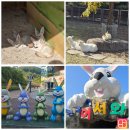 가덕리(마을입구)야외운동기구 | [경남 창녕] 산토끼 노래동산 작은 동물원, 썰매장 아이와 가볼 만한 곳 방문 후기