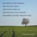 진주면옥 이미지