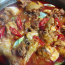 오늘은 닭 이미지