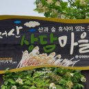 다팔아마켓