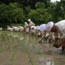 푸른상사 이미지