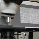 리오라여성의원 이미지