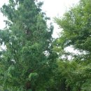 마당바위황토민박 이미지