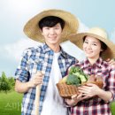 농업회사법인 통 주식회사 이미지