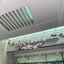 백년순대이야기 | 영등포 양평동 _ 양평역 순대국 맛집 순대정식 점심 혼밥 국밥 [ 백년순대 이야기]