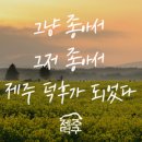 제주덕구 동명점 이미지