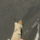 구월4동-35 | 노후빌라 첫 입찰 후 단독낙찰 ! 구월4동 초기재개발