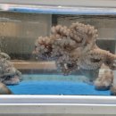 청연포차 이미지