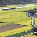 (주)들녘 이미지