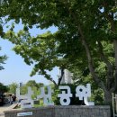정원건강원 | [화순 남산공원] 광주 근교 볼거리 추천! 화순 남산공원 수국 개화 현황 & 주차 꿀팁(2026.06.28 개화...