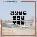 영천1공인중개사사무소 이미지