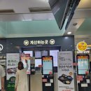 횡성반상 봉화산 설렁탕 이미지