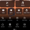 충남 부여 여행 코스 성흥산 사랑나무, 주차정보&amp;사진편집 꿀팁