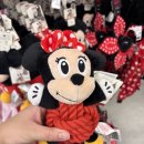 프라이펫 이미지