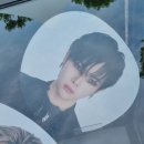 TEAM WILD WOLF | 앤팀 막콘 갔다옴 2025 ＆TEAM CONCERT TOUR ‘AWAKEN THE BLOODLINE’ in SEOUL