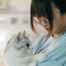 즐거운동물병원 이미지