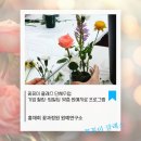 직장인 힐링 원예치료 | 꽃꽂이 클래스 단체수업 | 기업 힐링·팀빌딩 맞춤 원예치료 프로그램
