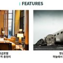 고릴라호텔 이미지