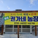 권가네 티스토리
