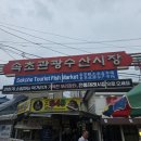 속초 중앙시장 만석닭강정 후기｜속초 여행 필수 먹거리, 여전히 줄 서는 이유