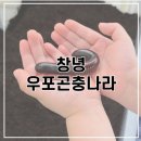 창녕동애등에 | [창녕]우포곤충나라ㅣ6살 아이와 실내 나들이 곤충체험 추천