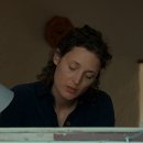 도그아일랜드 이미지