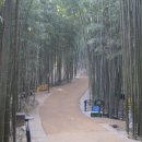 통영사랑약국 | 부모님과 가기 좋은 힐링여행지 (국내여행, 힐링코스, 겨울여행)