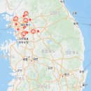 타이틀복싱킥복싱MMA우슈 이미지