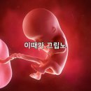 태평 찜질방 | 욱하는 성질 죽이기 챌린지 1주차 후기
