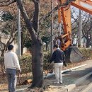 통신주