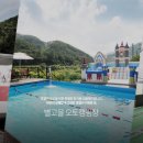 가야산백운오토캠핑장 이미지