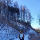 명진학교 | 강원도 인제 1박2일 여행 코스 추천 (인제 재래식 손두부 - 원대리 자작나무숲 - 만해마을 - 백담황태...