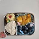 예쁜유치원 | 유치원 봄소풍 도시락 추천-간단하게 예쁜 도시락 구성부터 꿀템까지!