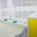 하이 멍뭉아 이미지