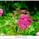 옹기테마공원 이미지