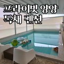 무궁화당구장 | 프라이빗 양양 독채 펜션 3가족 후기 | 3층 건물에 수영장까지